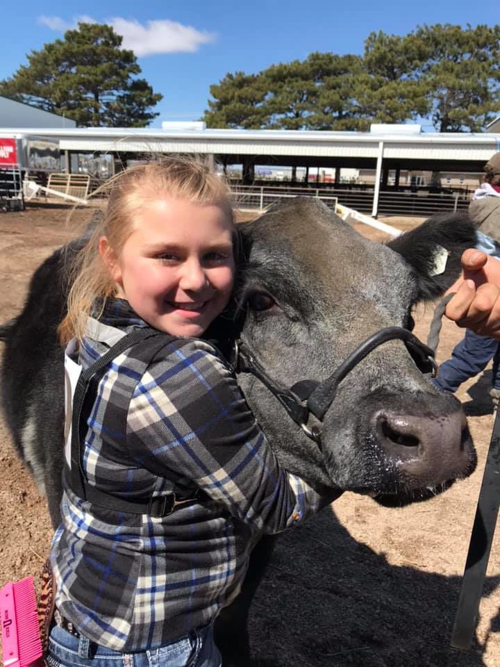 Firecracker the show heifer - Sarah Jensen.jpg